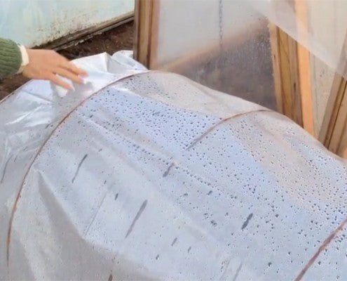 Como preparar un semillero de cama caliente